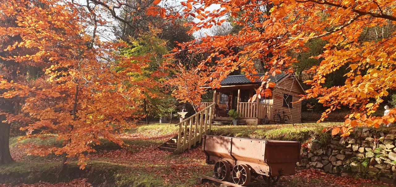 The Miners Log Lodge