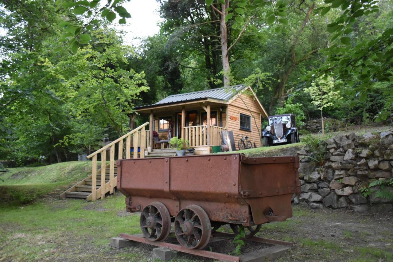 Lodge The Miners Log Blaina