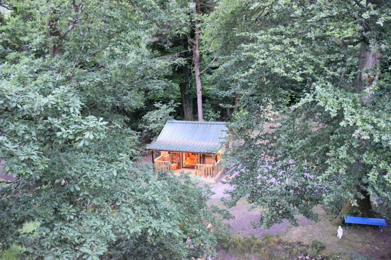 Lodge The Miners Log