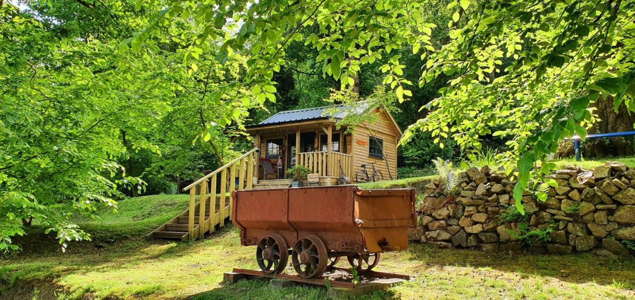Lodge The Miners Log Blaina