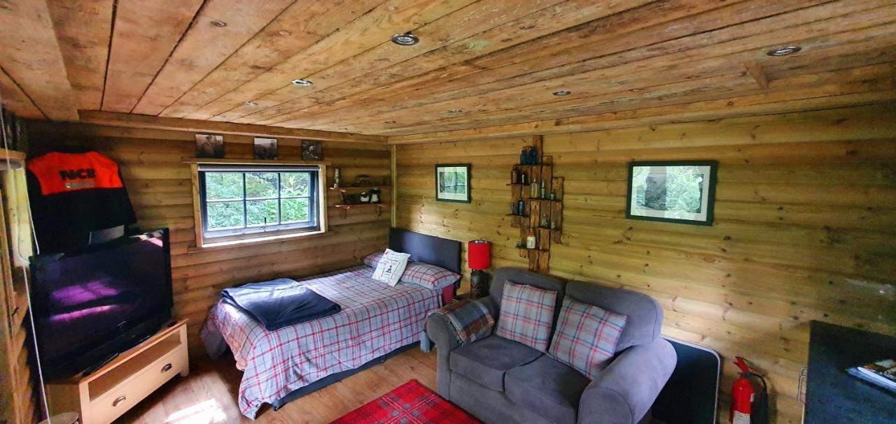 Lodge The Miners Log Blaina