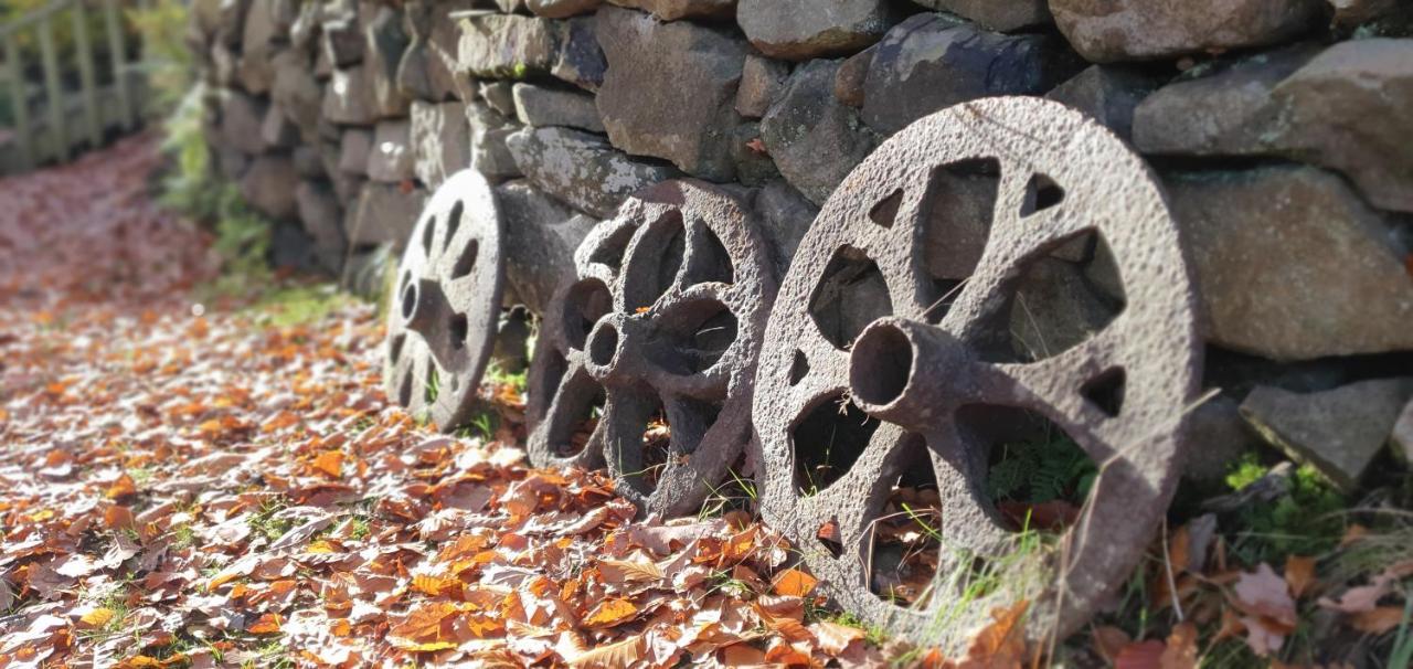 Lodge The Miners Log Blaina